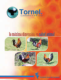 Portada Laboratorios